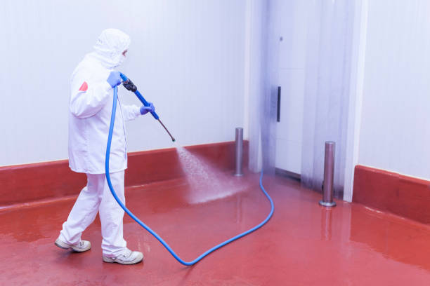 Best Spring Cleaning  in South Miami, FL