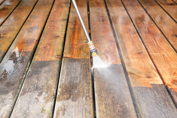 Best Driveway Pressure Washing  in South Miami, FL
